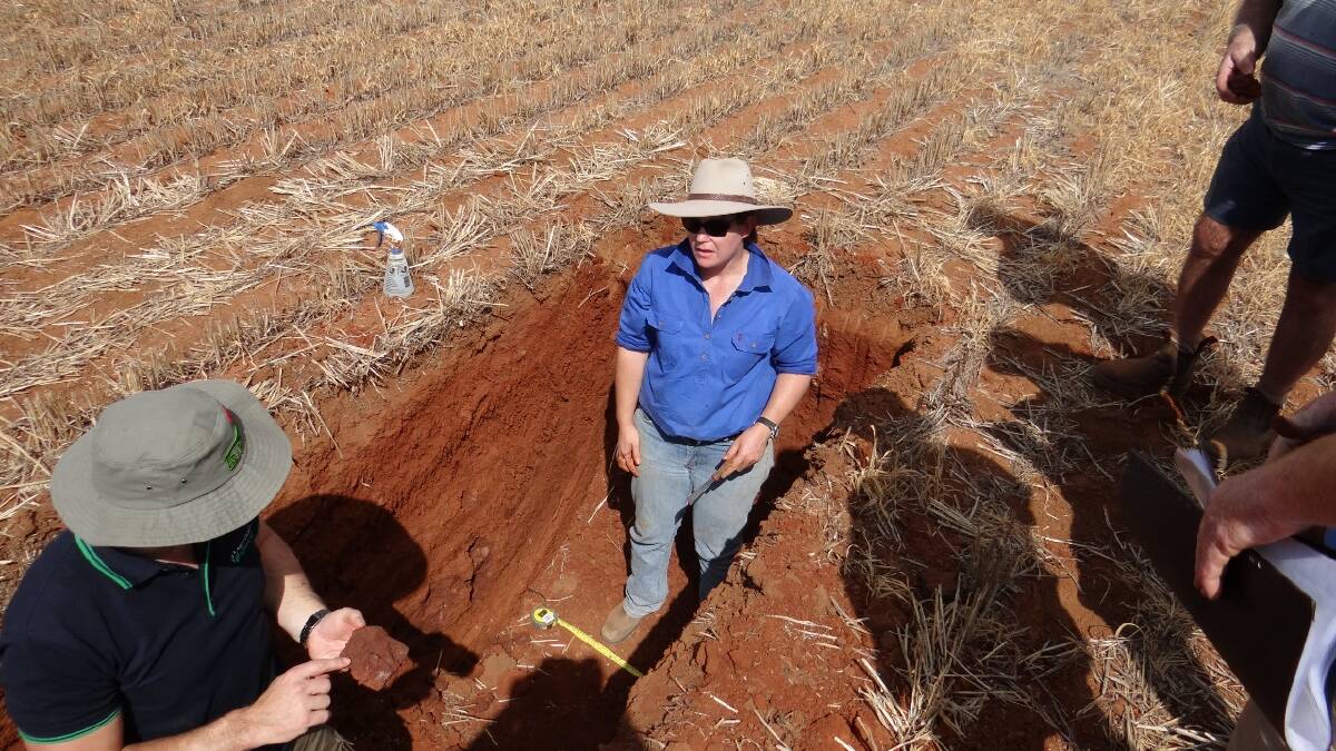 Dr Cassandra Schefe, says that the soil pit session gives local farmers the opportunity to learn more about their local soil type and how this can affect moisture and nutrient movement across the growing season. Photo: supplied
