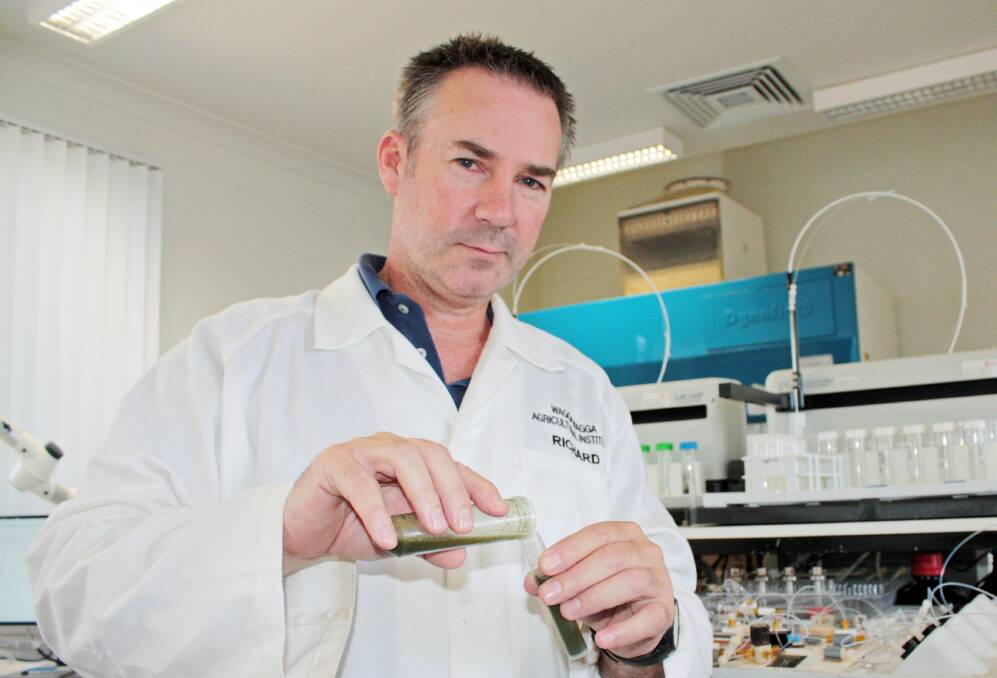 CHEMIST: NSW Department of Primary Industries analytical chemist, Richard Meyer, says feed quality testing of nitrate levels in hay and silage from failed crops is critical for producers so they can manage feeding and avoid stock losses. 
