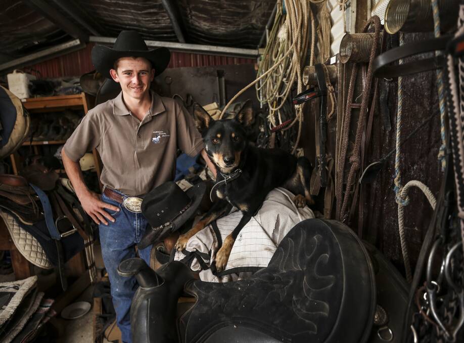A TALL TASK: Jack Purcell of Howlong in southern NSW has returned after achieving success in the brumby challenge at Equitana. Picture: James Wiltshire 