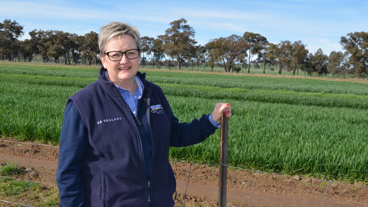 TIMELY RAIN: Henty Machinery Field Days chief executive officer Belinda Anderson inspects the trial plots after the much-needed rain. Picture: Nikki Reynolds 