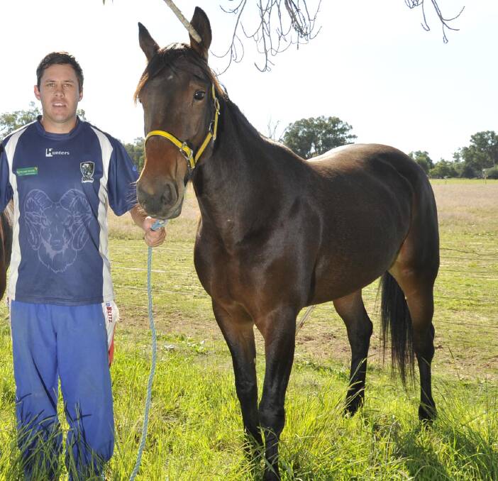 TAKING ON THE PACERS: Trotter Forestspider and Henty trainer-driver Grant Forrest will tackle the pacers at Wagga on Tuesday night. She is coming off a last placed finish in a Group Three trotters race.