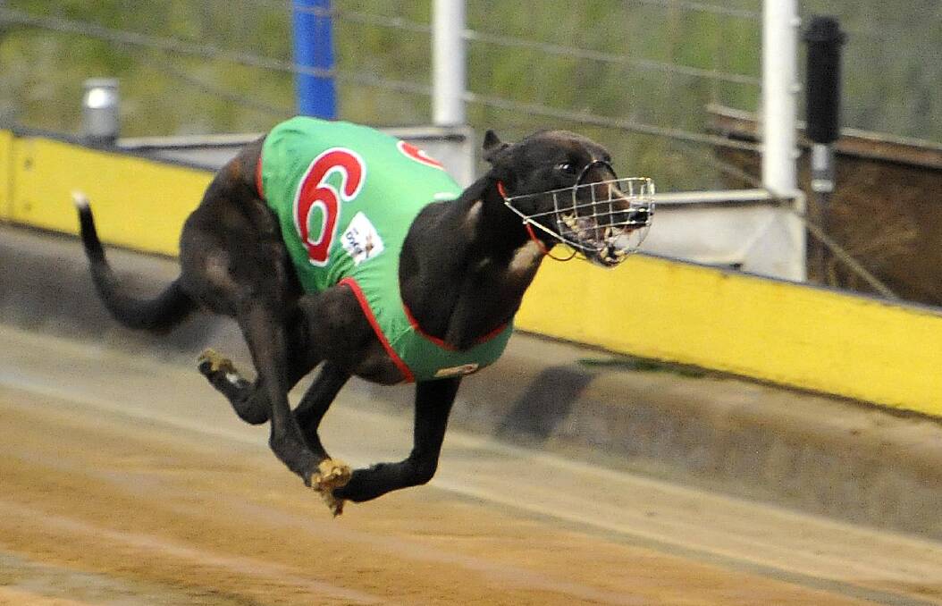 HOT FORM: Findiesel, pictured wining at Wagga last month, is chasing more success in the Wagga To Temora heat on Friday night. Picture: Kieren L Tilly