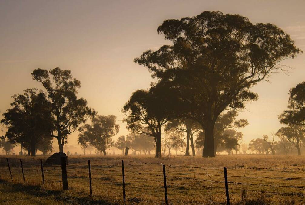LAND LOVE: Instagram user ​that_infinite_explorer posted this picture from Culcairn on Thursday last week. Send your pictures to rivcontributors@fairfaxmedia.com.au.