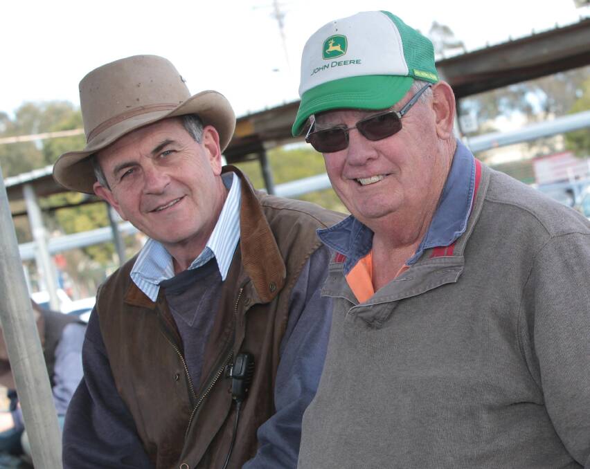 SHEEP SALE: Tim Francis from Harry Francis and co chats with Lockhart farmer Barry Gooden at the Bomen sheep sales last week. Picture: Les Smith
