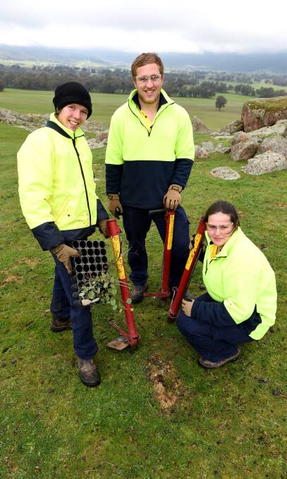 ON GROUND: Caleb Hodges, Jake Rose and Sarah Prior of the Holbrook Landcare bushlinks biodiversity project, part of the Green Army initiative. Picture: Mark Jesser