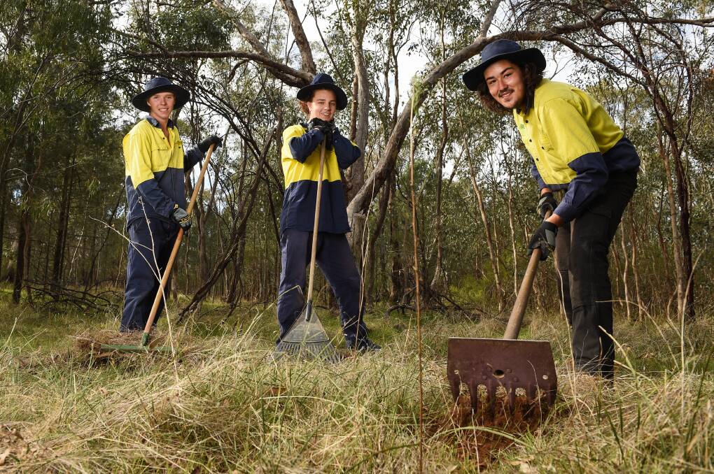 GREEN THINKING: Holbrook Green Army members Caleb Hodges, Clancy Lowe and David Graham on the job with Corowa District Landcare at Redlands Hill Nature Reserve on World Environment Day. Picture: MARK JESSER