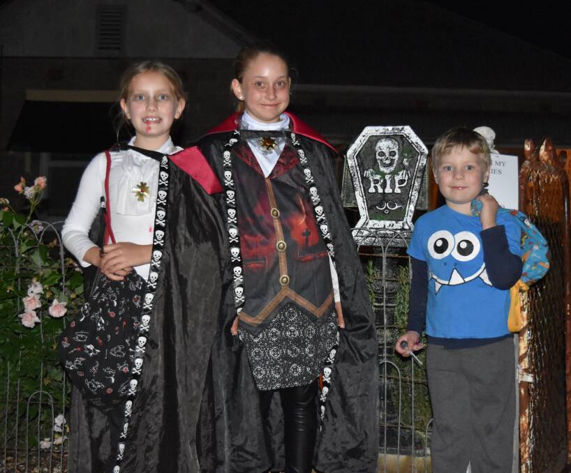 Elsa Meyer, Jada Murphy and Fergus Meyer were dressed up for the Halloween night in Henty last year. 