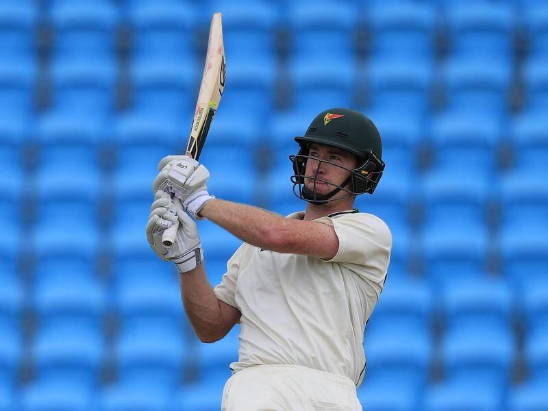 Tom Rogers has played well in the lower order for Tasmania in the Sheffield Shield against WA.