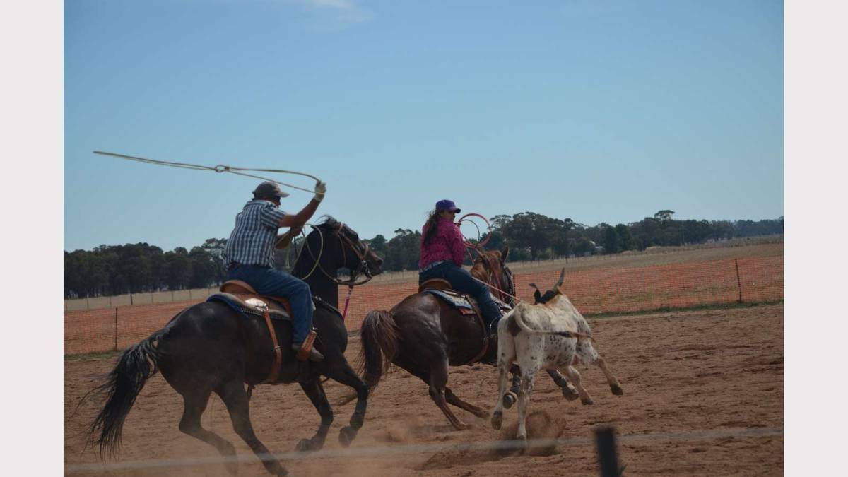 Team ropers Ian and Ryley Menz from Wagga compete at Stockinbingal. Picture: The Rural