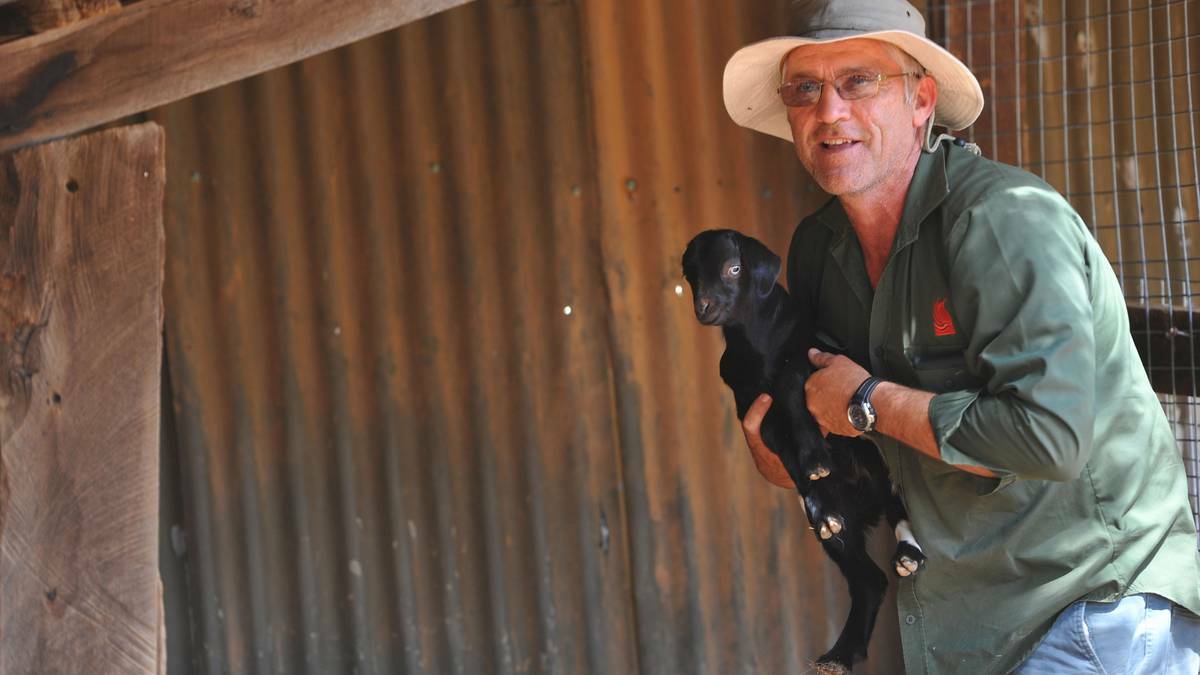 Long-time Wagga City Council employee Mick Cave introduces Wagga to a new baby goat born at the Wagga Botanic Gardens. Picture: Riverina Leader