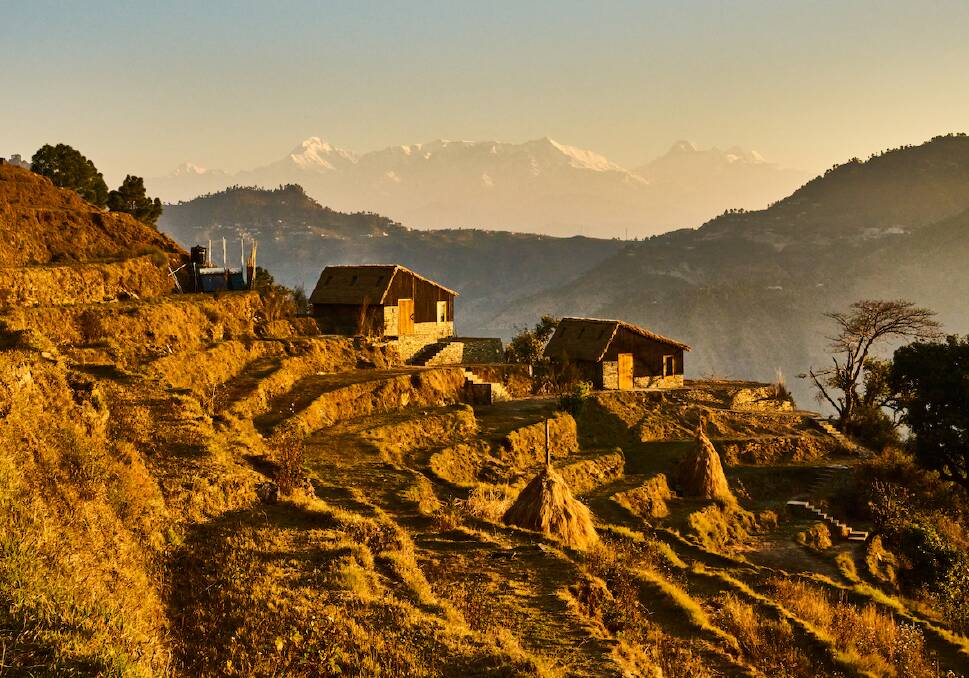 Shakti Prana. Shakti Prana.