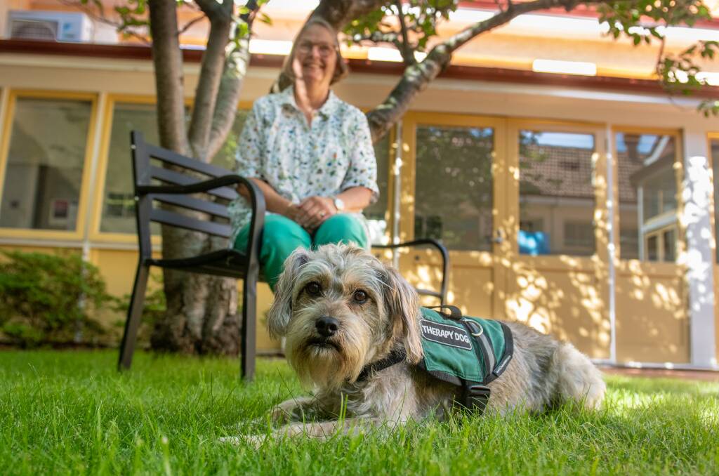 Edwina Colvin and her therapy dog Tilly.