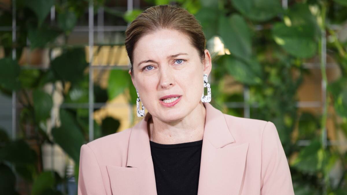 Small Business Minister Julie Collins. Picture by Sitthixay Ditthavong