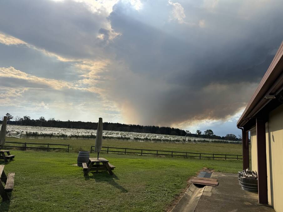 'This burn could be absolutely catastrophic for my business': Cherry Tree Hill general manager David Lorentz said. Picture supplied 'This burn could be absolutely catastrophic for my business': Cherry Tree Hill general manager David Lorentz said. Picture supplied