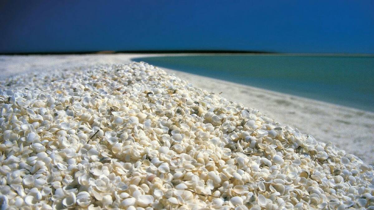 Shell Beach. Picture by Tourism Western Australia