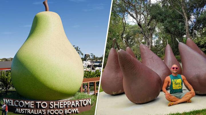 An artist's impression of Shepparton's proposed Big Pear and a tourist poses with George Baldessin's pear structure. Pictures by Bruce Mactier Building Designers / bigthingsofaustralia.com