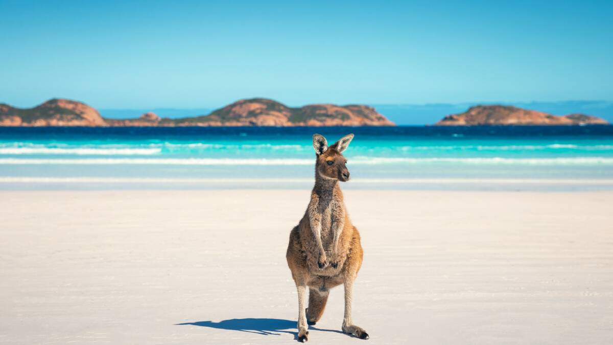 The tourism body did not have management plans in place for multi-million dollar contracts. The tourism body did not have management plans in place for multi-million dollar contracts.