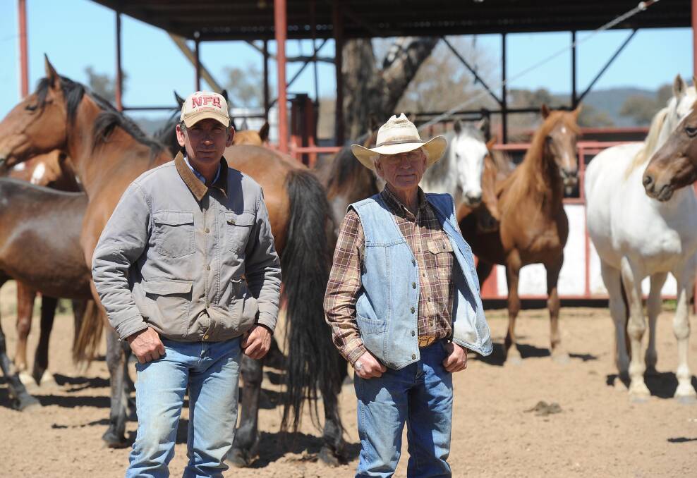 GENERATIONAL SUCCESS: Father and son duo Jarrad Gill and John Gill of The Rock in southern NSW are pictured with a team of their rodeo horses. 