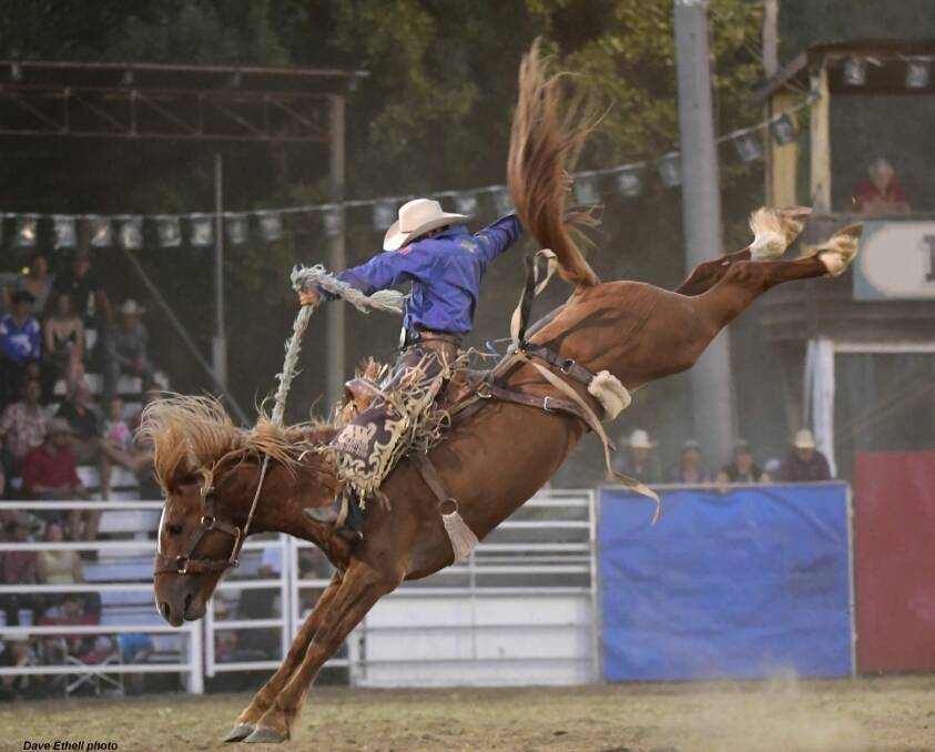 EARLIER EVENT: Brad Pierce of Tooma rides the horse called Buffalo Bill in the saddle bronc event. Picture: Dave Ethell