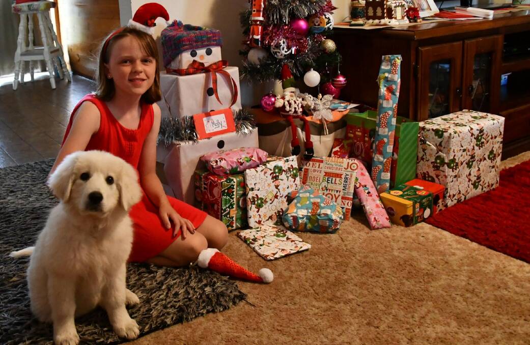 BEST FRIENDS: Molly Milton, 9, and her new dog Grace are looking forward to celebrating Christmas together. Picture: Lorri Roden