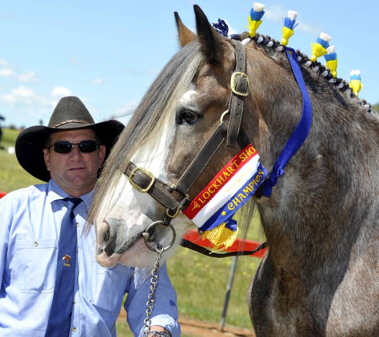 SHOW TIME: Popular exhibitor Darren Judd of Collingullie is pictured at Lockhart Show. The horse section is expected to be strong again this year. 