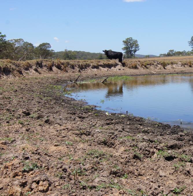 PARCHED: Dry times take a toll on farm dams. 