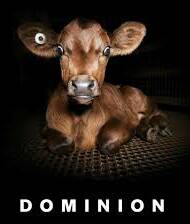 UNDER ATTACK: Animal activists share their message in the documentary Dominion. 