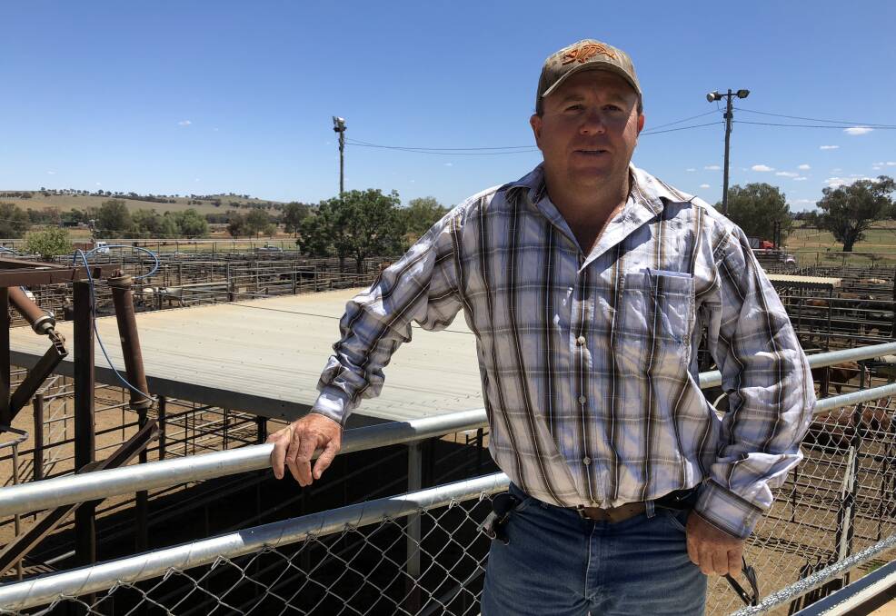 FOND MEMORIES: Geoff Hopkins, son of the late Harold Hopkins, is pictured at the Wagga cattle sale on Monday. Picture: Nikki Reynolds