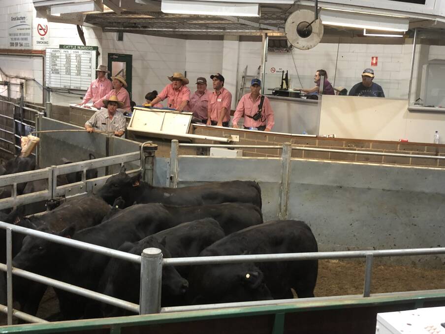 TAKING THE BIDS: The team from Elders Wagga are pictured at the Wagga Livestock Marketing Centre. Picture: Nikki Reynolds