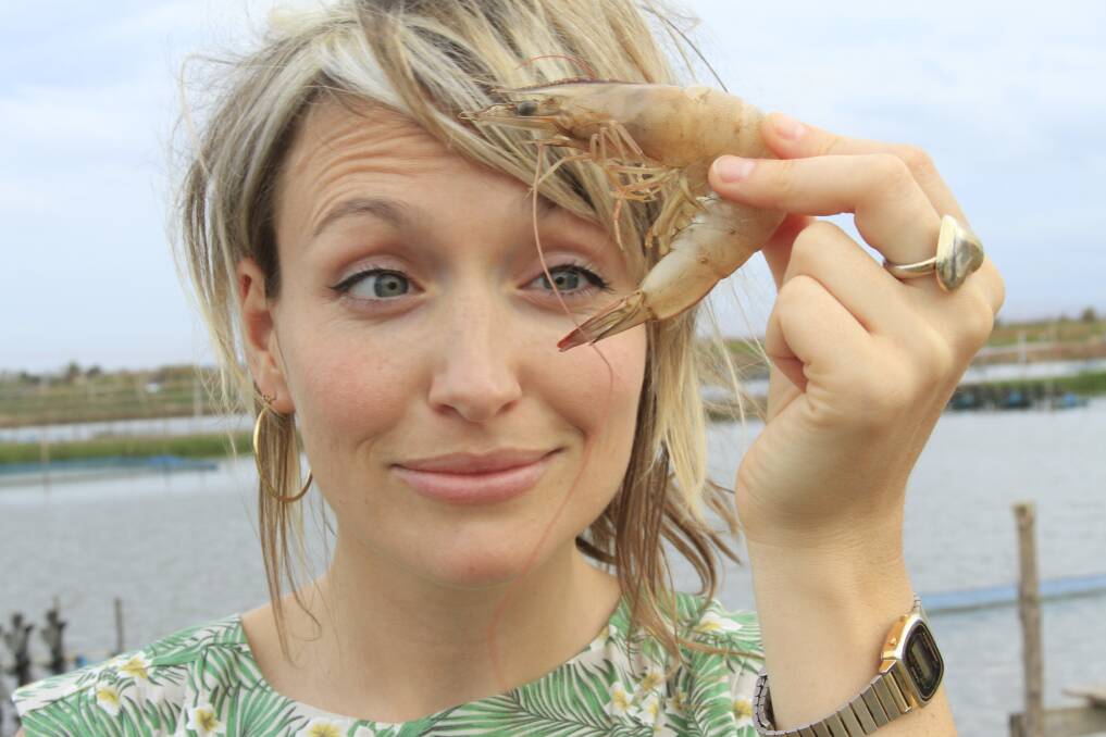 Kate Quilton is one of the hosts of the underwhelming Food Unwrapped.