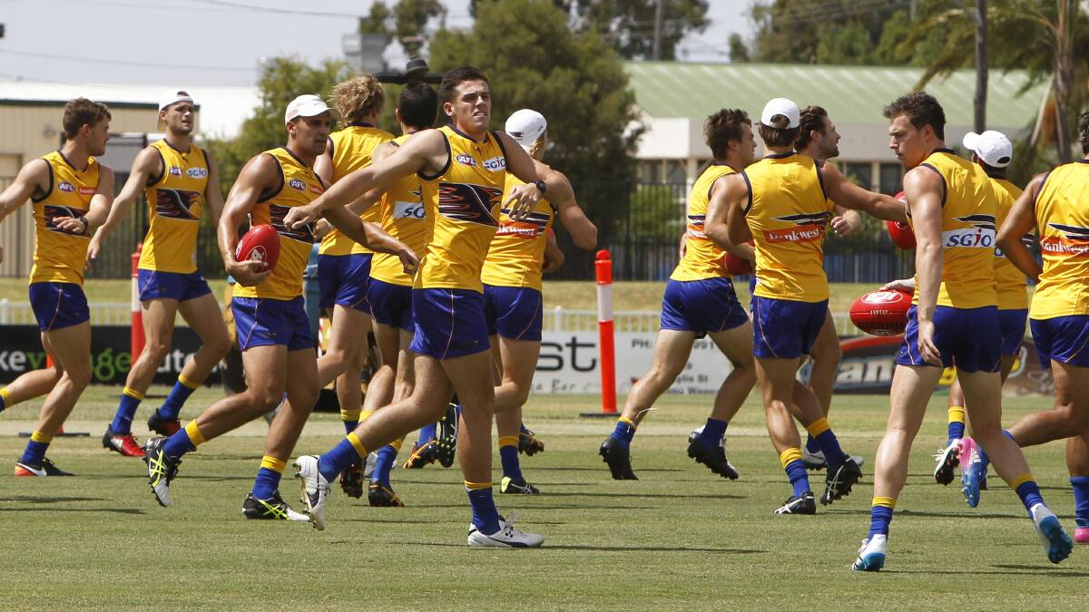 AFL premiers, West Coast, holding a training session at Robertson Oval in Wagga back in Feburary last year. Picture: Les Smith