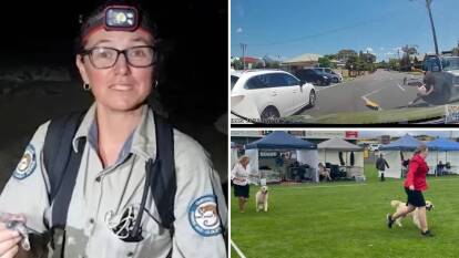 THE WEEK THAT WAS: Green turtles revived on Raine Island, QLD (left), a skater miraculously walks away unscathed (top right) and good doggos on parade in Warrnambool, VIC (bottom right).