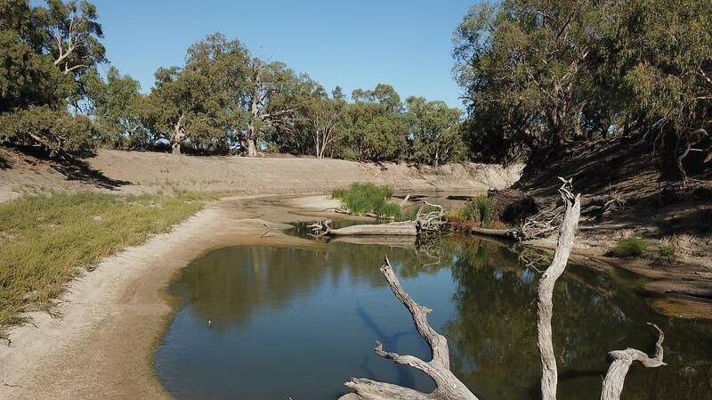  The region's irrigators want the Murray-Darling Basin Plan "paused and fixed".
