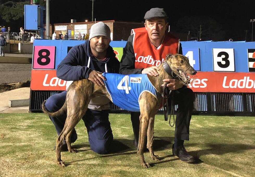 LOCAL CUP CHANCE: Tommy Hasse and Holbrook trainer Dirk Bosman after Dyna Elias won the second of the Wagga Gold Cup heats on Friday night. Picture: Courtney Rees