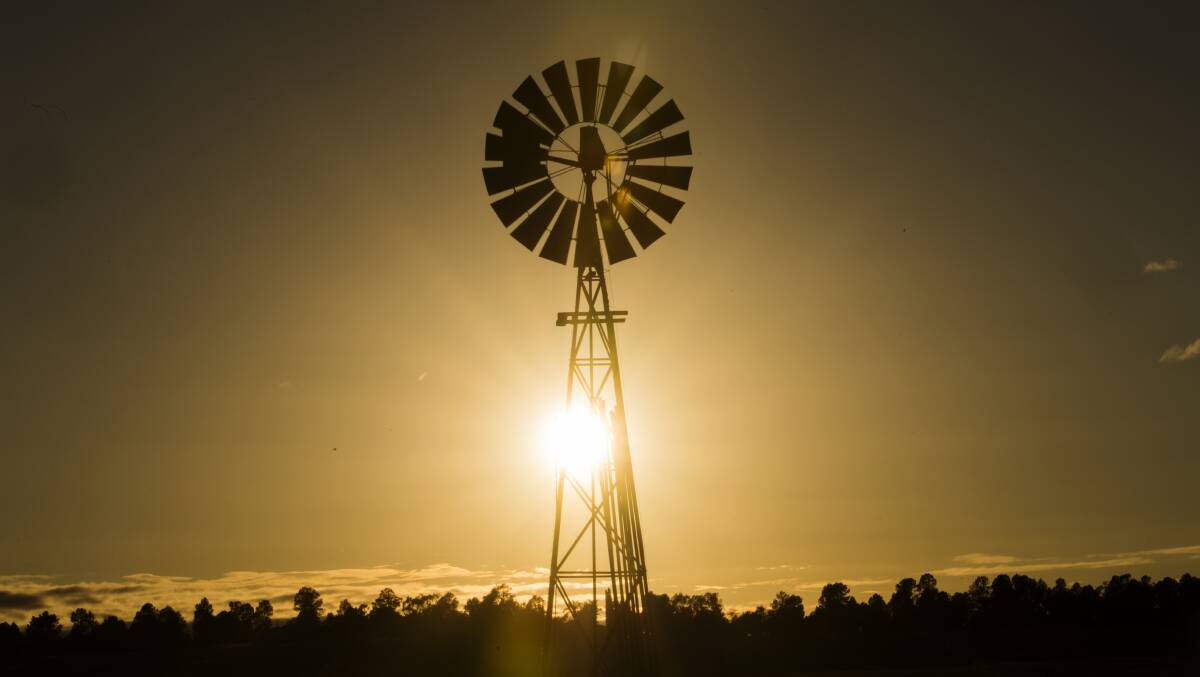 Get your weekly morning wrap from the Eastern Riverina Chronicle