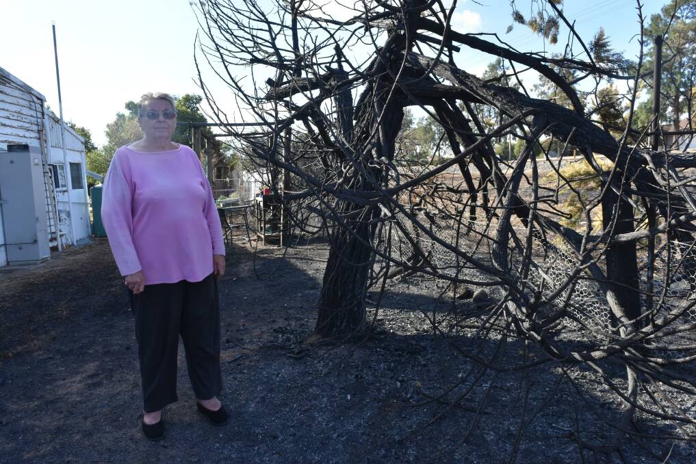 Burning gratitude: Val Dent says if not for the heroic actions of her neighbour, she might have lost more than her beloved dog in a rougue fire at Henty. 