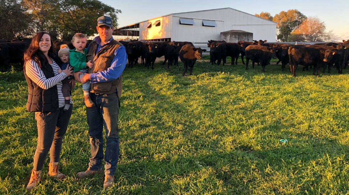 Helen and Colin Geddes, Warranboo Partnership, Holbrook with sons Edward, 11 months and Archie, 2, and the 28 PTIC Angus cows they sold for $2490. Picture: Supplied