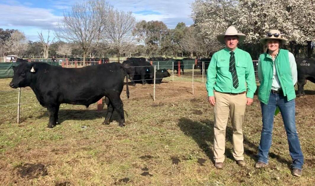 Ruth Corrigan, Rennylea with auctioneer, Peter Godbolt, Paull and Scollard Nutrien Albury and Rennylea Q292 who sold to Ashwood Park, Brunswick, Vic for $28,000 via AuctionsPlus. 