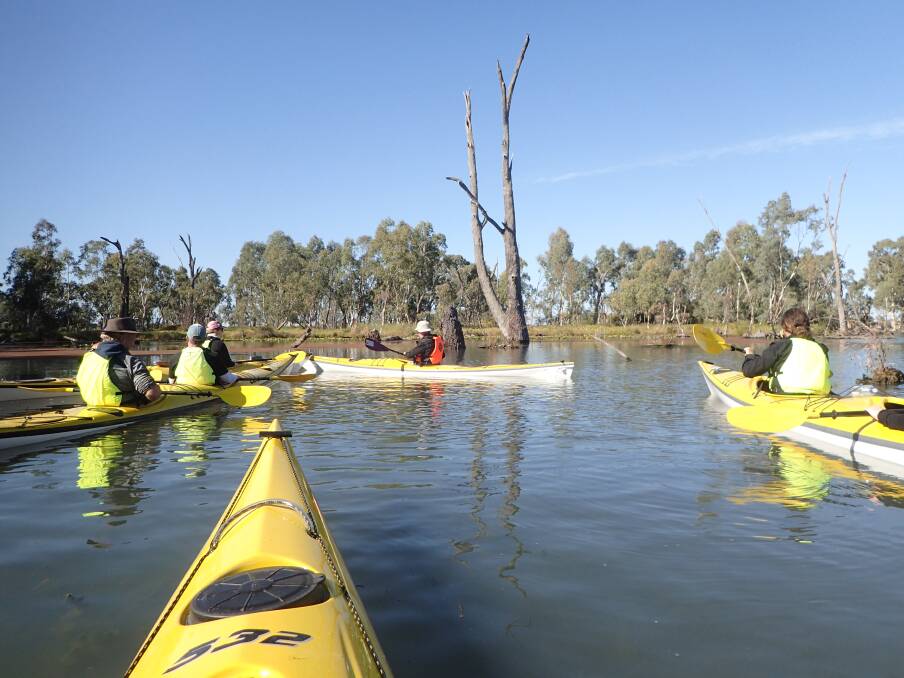 On the Gunbower: There's lots of obstacles to have fun paddling around while you keep a watch out for birds.