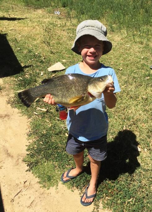 MAKING MEMORIES: Joseph Dedini is proud as punch at this yella, caught in the Murrumbidgee River. Pictures to craig@waggamarine.com.au or 0419 493 313.