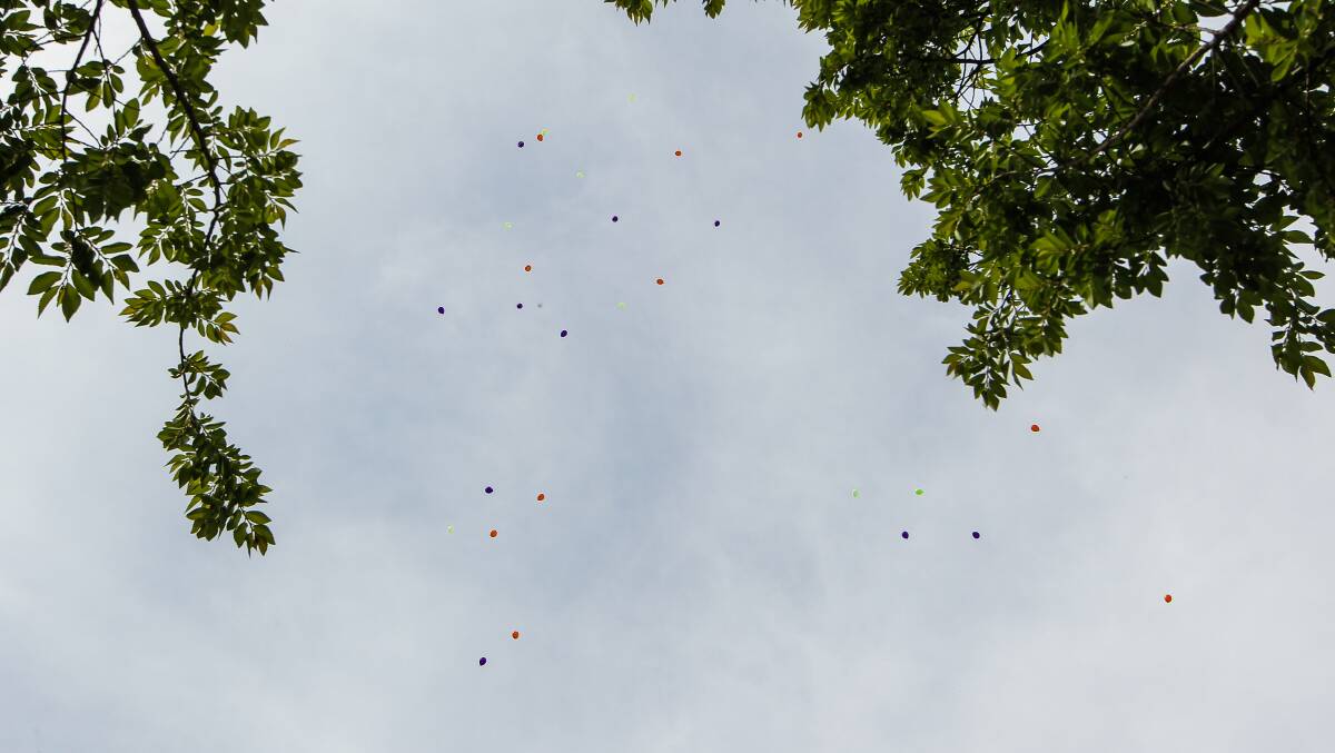 No more dot to dot: Balloon releases over Federation Shire are set to be banned.