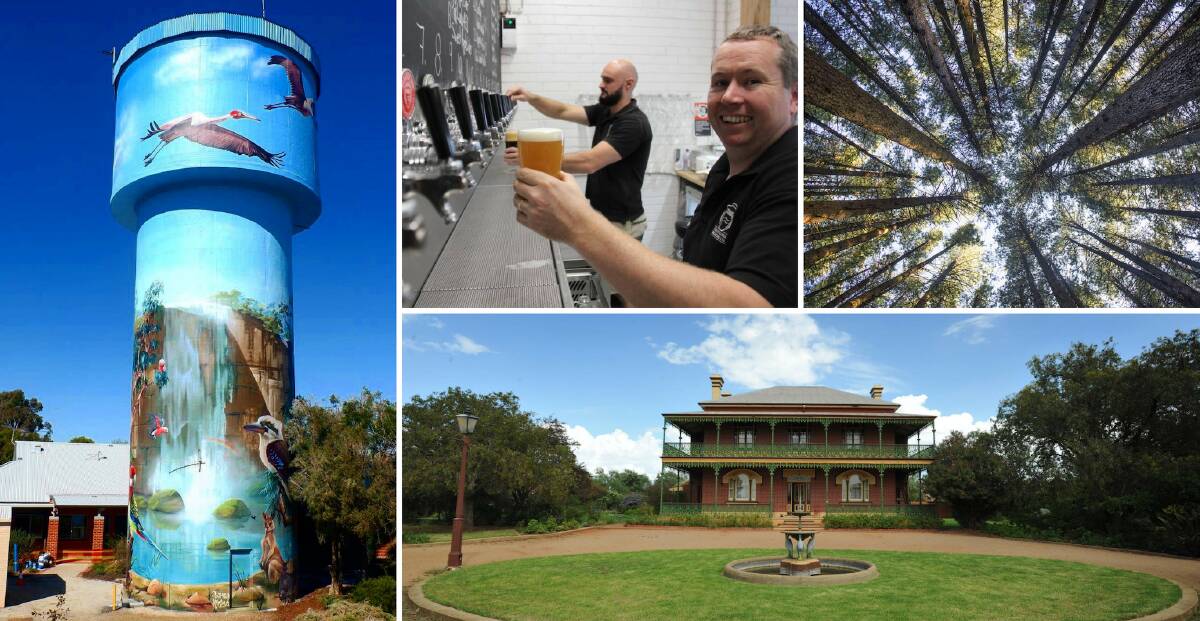 ROAD TRIP: See Lockhart's tower, meet the team at Tumut, wander along the sugar pines and get an adrenaline rush in a haunted house. 