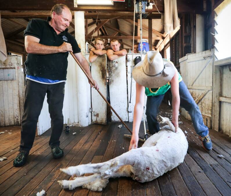 MASTER AND APPRENTICE: Shearing and wool handling teacher, Richard Leahy, with student, Darcy Saunders, 15.