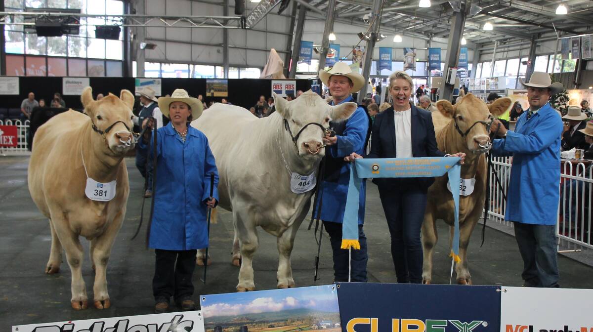 These three Charolais from Kenmere, Holbrook NSW were awarded Supreme Breeders Group. (L-R) Susie Trout, Glen Trout, Federal Ag Minister Senator Bridget McKenzie and Ryan Morris.