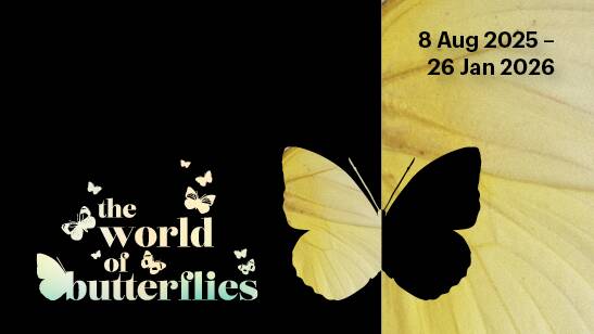 World Butterfly exhibition - photo TAS Government