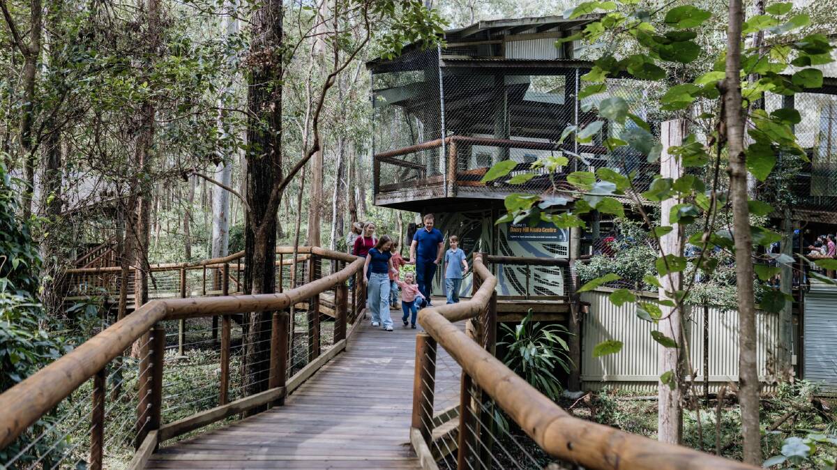 Daisy Hill Koala Centre. Picture by QLD Government Parks and Forests