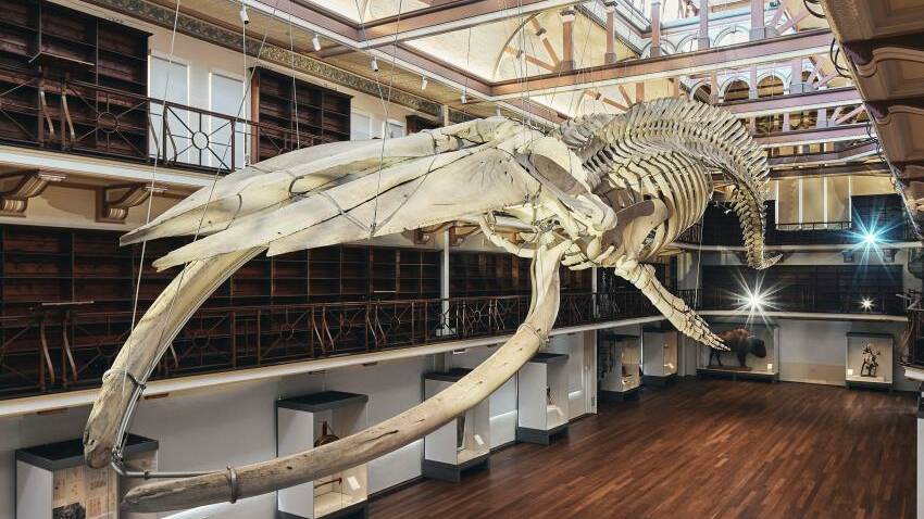 WA-Museum-BoolaBardip. Hackett-Hall. Photo by Peter Bennetts Museum Website