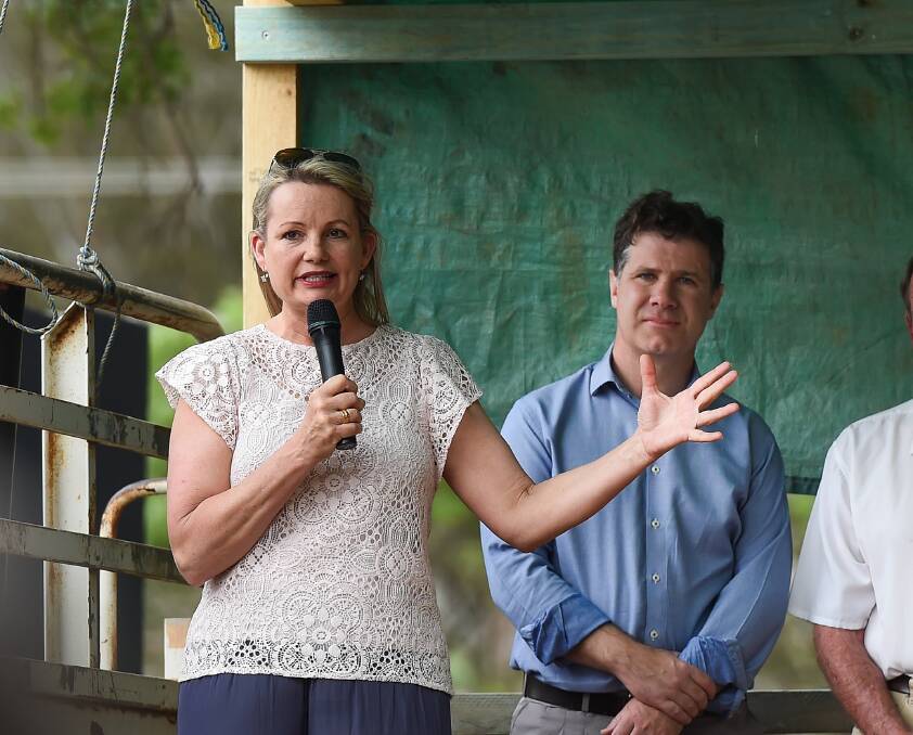 Environment Minister and Farrer MP Sussan Ley says there isn't a space for the Commonwealth to legislate to protect agricultural land from solar farms, while Albury MP Justin Clancy has been approached by people from both sides of the debate.