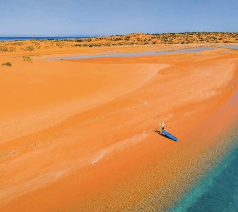 Heli-snorkelling: The highs and the lows of Shark Bay Heli-snorkelling: The highs and the lows of Shark Bay