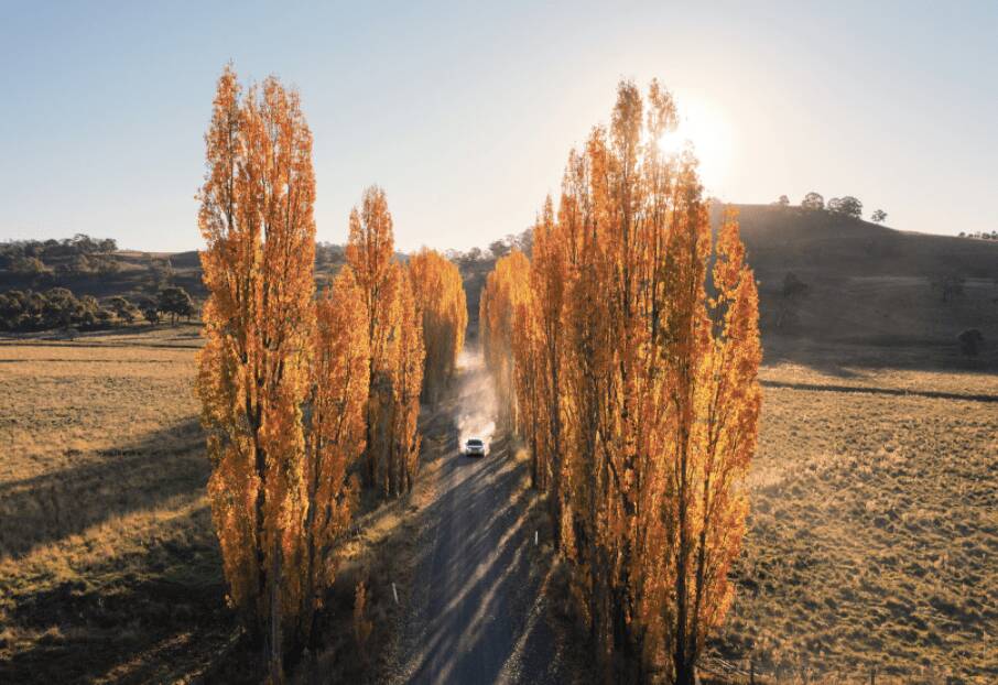 The joyful twists and turns of the NSWs Northern Tablelands The joyful twists and turns of the NSWs Northern Tablelands